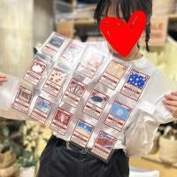 ราคา MUJI - แฟ้มใส่การ์ด 15 กระเป๋า (27572624992)