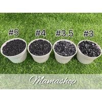 ราคา หินเกร็ดสีดำ ตกแต่งสวน หินโรยหน้ากระถาง หินจัดสวนถาด หินใส่ตู้ปลา หินปูพื้นจัดสวน (7018790992)
