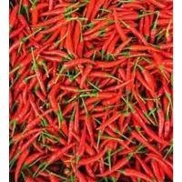 ราคา พริกขี้หนูแดงก้าน สด สะอาด (9380835429)