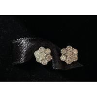 ราคา ต่างหูเพชรแท้ [ต่างหูเพชรกระจุกกลม] เพชรรวม 14 เม็ด น้ำหนักเพชรรวม 0.77 กะรัต (25333549767)