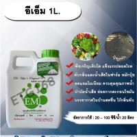 ราคา อีเอ็ม 1L. EM จุลินทรีย์อีเอ็ม หัวเชื้อจุลินทรีย์ หัวเชื้ออีเอ็ม จุลินทรีย์ที่มีประสิทธิภาพ บำรุงพืชผัก ดับกลิ่น (11335062914)