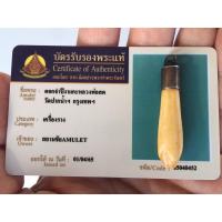 ราคา #ดอกจำปีหลวงพ่อสด วัดปากน้ำ ภาษีเจริญ (23541575691)