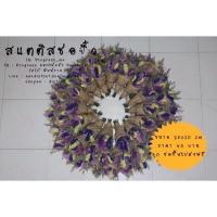 ราคา สแตติสช่อจิ๋ว ดอกไม้แห้ง (856204964)