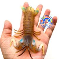 ราคา Munich Play - โมเดลสัตว์ Mantis Shrimp กั้ง หางเขียว ขนาด 13.00 CM (จากหาดใหญ่) (24907156035)