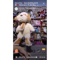 ราคา ตุ๊กตางานเครื่องมือสองไลฟ์สด-น้องหมาอัดเสียง และกบ (7358428927)