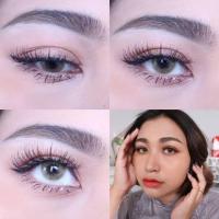 ราคา คอนแทคเลนส์ รุ่น Mini Night สาย ฝอ. สีเทา/ตาล Gray /Brown มีค่าสายตา (0.00)-(-6.50) (16151473900)