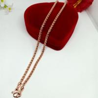 ราคา สร้อยคอนาคหนัก1บาทยาว24นิ้วสวมคอได้ (5789013432)