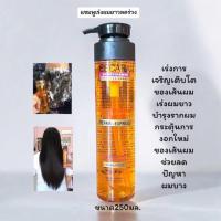 ราคา ESCARA แชมพูเร่งผมยาวช่วยลดผมร่วง บำรุงรากผม กระตุ้นการงอกใหม่ของเส้นผม (25028025371)