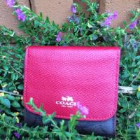 ราคา New coach f53837 (100818979)