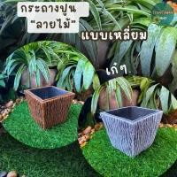 ราคา กระถางต้นไม้ กระถางปูนปั้นลายไม้ กระถางตกแต่งสวน (24494282392)