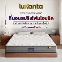 ราคา Luxanta ที่นอนสปริงอัจฉริยะ ความหนา 9 นิ้ว รอบรับสรีระได้ดี ช่วยลดอาการปวดหลัง ที่นอนสปริงเสริมยางพารา (42123603320)