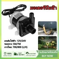 ราคา Expert ปั้มน้ำ DC12V/24V ปั๊มน้ำตู้ปลาแบบจุ่ม ปั๊มตู้ปลา ปั๊มน้ำบ่อปลา ปั๊มดูดปุ๋ย (21874718890)