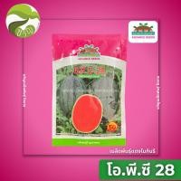 ราคา เมล็ดพันธุ์แตงโมกินรี แตงโม O.P. C-28 ( โอพี-ซี28 ) ตราตะวันต้นกล้า (43825318340)