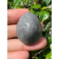 ราคา ประกันแท้ เบี้ยแก้หลวงปู่เจือ วัดกลางบางแก้ว (23444089432)