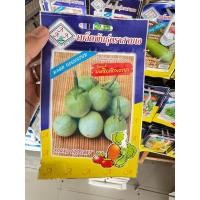 ราคา เมล็ดพันธุ์ผัก มะเขือเจ้าพระยา (26679071545)