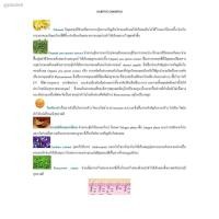 ราคา 2021✌☏☼Hairtive shampoo ( 1 ขวด ) (8775247081)