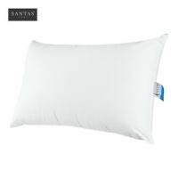 ราคา [พร้อมส่ง] HomeDoDee หมอนหนุน SANTAS DACRON หมอน ถอยหมอน (8291619851)