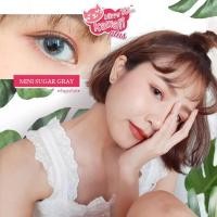 ราคา คอนแทคเลนส์Mini Sugar Brown / Gray (Kitty Kawaii) ขนาดมินิ (9327433164)