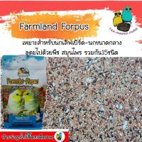 ราคา Farmland Forpus เหมาะสำหรับนกฟอพัส เลิฟเบิร์ด และนกขนาดกลาง(แบ่งขาย100-500กรัม) (24686409269)