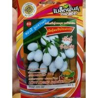 ราคา เมล็ดมะเขือเปราะ พันธุ์ มะเขือไข่เต่าขาว (วังเต่า) มะเขือเปราะ (10 แถม 1)คละได้ เมล็ดผัก เมล็ดพันธุ์ ตราสี่ทิศ 4ทิศ (6848390206)