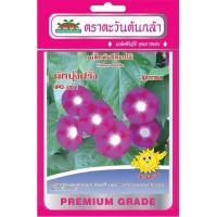 ราคา เมล็ดผักบุ้งฝรั่ง IPO-201 (26003876532)