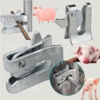 ราคา กลอนล็อคกรง หมู สุนัข หมู กลอนคอกหมู ประตู แบบหางปลา Pig Door Latch Lock กุญแจล็อคประตูเหล็ก ปากกาหมู ล็อคปร (57252693417)
