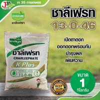ราคา (1ลิตร) ชาลีเฟรท 13-0-46 ปุ๋ยเกล็ด โพแทสเซียม บำรุงผล เพิ่มหวาน เพิ่มน้ำหนัก เพิ่มแป้งเมล็ดข้าว ลูก ฝัก ผลใหญ่ (29077565085)