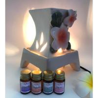 ราคา Panita เตาอโรมาเซรามิคไฟฟ้า + น้ำมันหอมระเหย 5cc 4 ขวด (1558621167)