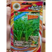 ราคา เมล็ดผักกาดเขียว พันธุ์ ใบสร้อย (10 แถม 1) คละได้ เมล็ดผัก ตรา สี่ทิศ 4ทิศ ผักกาดเขียวน้อย ผักเขียวน้อย ผักหิ่น (3748329716)