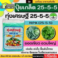ราคา 25-5-5 1กิโลกรัม (ปุ๋ยเกล็ดทุ่งเศรษฐี) เร่งงาม ยืดยอด แตกแขนง (21859038247)