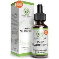 ราคา Benevolent Chlorophyll Liquid Drops – Chlorophyll Drops for Detox & Immune Support, Internal Deodorizer & Skin Health Supplement – Non-GMO, Natural Mint Flavor, 4 Month Supply (52953935905)