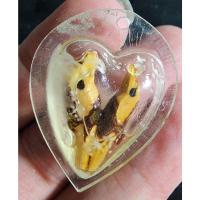 ราคา พระสวย ตรงรูป สาริกา เลี่ยมเก่าใช้ สภาพเดิม ไม่ทราบอาจารย์ (19141765222)