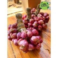 ราคา แบ่งขาย 1 กิโล หอมแดง (Shallot) คัดขนาดใหญ่พิเศษ (6617664361)