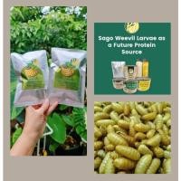 ราคา พร้อมส่ง ด้วงสาคูอบกรอบ ตราพีเจ Crispy Sago Weevilด้วงทอดไร้น้ำมัน โอเมก้าสูง ทานได้ทุกวัย ขนมอบกรอบเพื่อสุขภาพ แมลงทอด (13886836051)