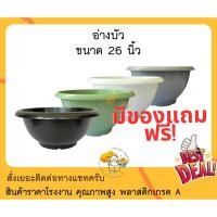 ราคา (แพ็ค3ใบ) อ่างบัวพลาสติก ขนาด 26 นิ้ว (ราคาส่ง) อ่างบัว อ่างชวนชม อ่าง บัว พลาสติก ขนาด ใหญ่ กระถางบัว กระถางบัวพลาสติก (23047626023)