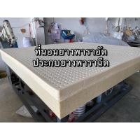 ราคา ที่นอน ยางพาราอัด+ยางฉีด ราคาโรงงาน (7144566369)