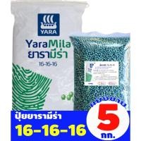 ราคา ปุ๋ยยารามีร่า สูตร 16-16-16 แบ่งขาย 5 กิโลกรัม (19319283140)