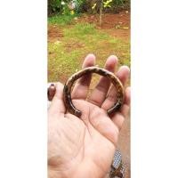 ราคา กัลปังหาของขลังของธนสิต (42258597273)