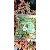 ราคา หญ้าหวานอบแห้งในโดม ปลอดสารพิษ สำหรับชาหญ้าหวาน ให้ความหวานแทนน้ำตาล จากบ้านสวน 100 กรัม 40 บาท (3784565616)