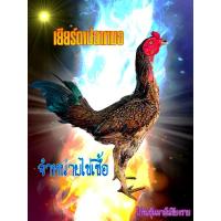 ราคา ไก่ชนพม่าสายเยียร์/ไข่เชื้อไก่ชน (24369928498)