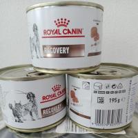 ราคา ( 3กระป๋อง ) Royal canin Recovery 195 กรัม/กระป๋อง (54453059515)