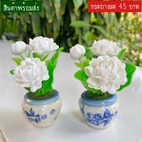 ราคา **พร้อมส่ง** ดอกมะลิจิ๋ว มะลิพร้อมกระถาง แจกันดอกมะลิ ดอกมะลิดินปั้น **กระถางละ 45 บาทเท่านั้น !! ** (3374725032)