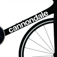 ราคา Cannondale 2019 Logo Bicycle Pack Sticker - สติ๊กเกอร์รูปลอกจักรยาน (28881121030)