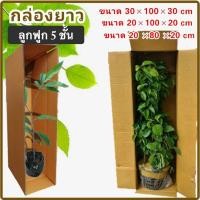 ราคา กล่องใส่ต้นไม้ กล่องลูกฟูก (1 แพ็ค 5ใบ) กล่องกระดาษลูกฟูก ลังกระดาษ กล่องลัง กล่องกระดาษ (15097600022)