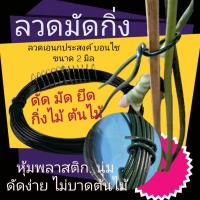 ราคา ลวดดัดกิ่ง ลวดมัดกิ่ง ลวดเอนกประสงค์ ลวดบอนไซ (10859273545)