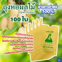 ราคา 300pcs ถุงกระดาษคาร์บอน ถุงห่อผลไม้ ขนาด 20x30 ซ.ม. จำนวน 100 ใบ ถุงห่อมะม่วง ถุงคาร์บอน ทีเอบี ป้องกันแมลงวันทอง (47304671186)