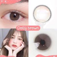 ราคา ⭐️ Mini dolly brown / gray ⭐️ คอนแทคเลนส์ เกาหลี Brand: Wink ใส่สวยมาทีไรหมดไวทุกที winklens (6246788970)