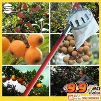 ราคา ตระกร้อสอยผลไม้(ผ้าสีขาว) ตระกร้อสอยผลไม้ ที่สอยผลไม้ ทีเก็บผลไม้ ตระกร้อ (25869015108)