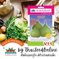 ราคา Advance Seeds(ตราตะวันต้นกล้า) ADVOP ซฟ เมล็ดพันธุ์ น้ำเต้า น้ำเต้าทอง ตราตะวันต้นกล้า V11 (21292586988)