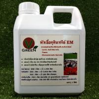 ราคา V-Green หัวเชื้อจุลินทรีย์อีเอ็ม EM ขนาด 1 ลิตร (2197884026)